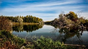 torrente parma natura